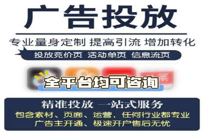 某电商平台的SEM策略与效果展示